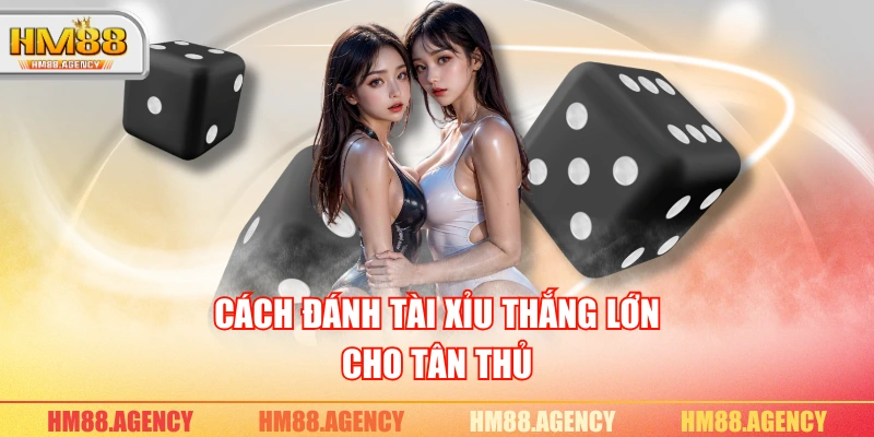 Cách đánh tài xỉu thắng lớn cho tân thủ
