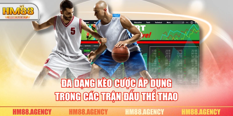 Đa dạng kèo cược áp dụng trong các trận đấu thể thao