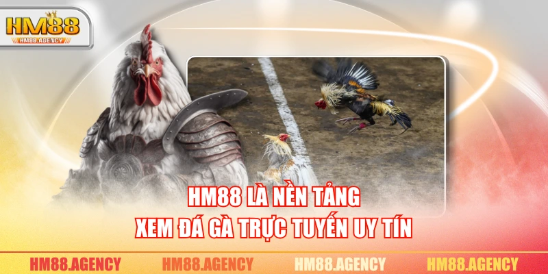HM88 là nền tảng xem đá gà trực tuyến uy tín HM88 là nền tảng xem đá gà trực tuyến uy tín