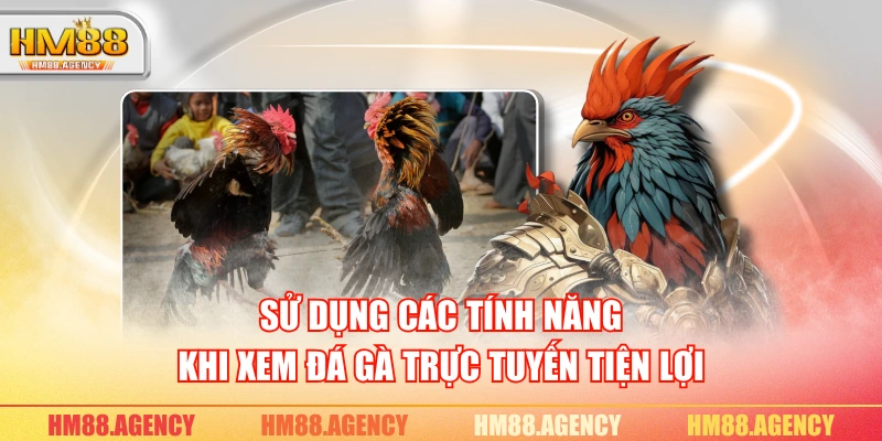 Sử dụng các tính năng khi xem đá gà trực tuyến tiện lợi Sử dụng các tính năng khi xem đá gà trực tuyến tiện lợi