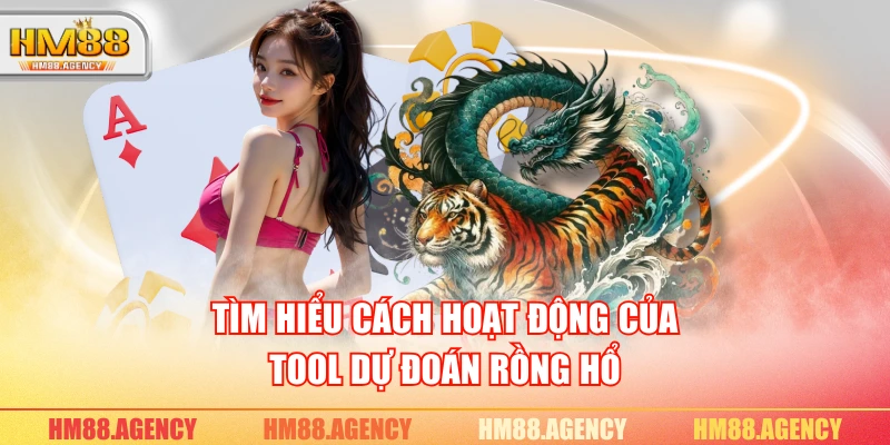 Tìm hiểu cách hoạt động của tool dự đoán Rồng Hổ