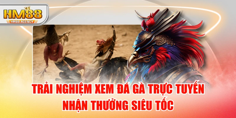 Trải Nghiệm Xem Đá Gà Trực Tuyến, Nhận Thưởng Siêu Tốc