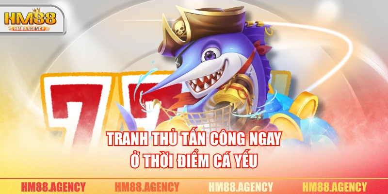 Tranh thủ tấn công ngay ở thời điểm cá yếu